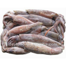 frozen good quality Peru squid